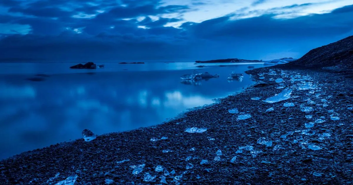Les Hauts de Hurlevent : La réalisatrice s engage à soutenir le choix de Margot Robbie et Jacob Elordi dans les rôles principaux