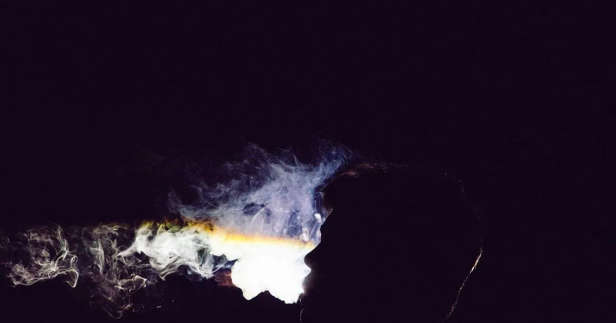 Misanthrope en plein doute : décryptage d’un Silence des Agneaux sombre et mélancolique
